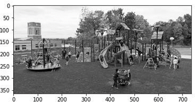 A Gray Scale Image