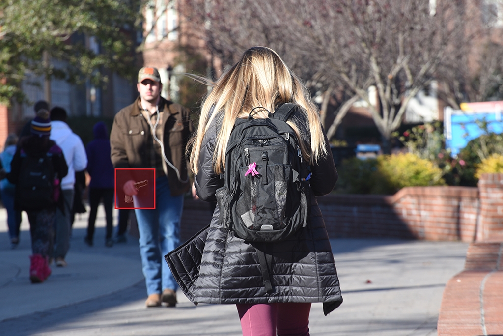 Ensuring School Safety