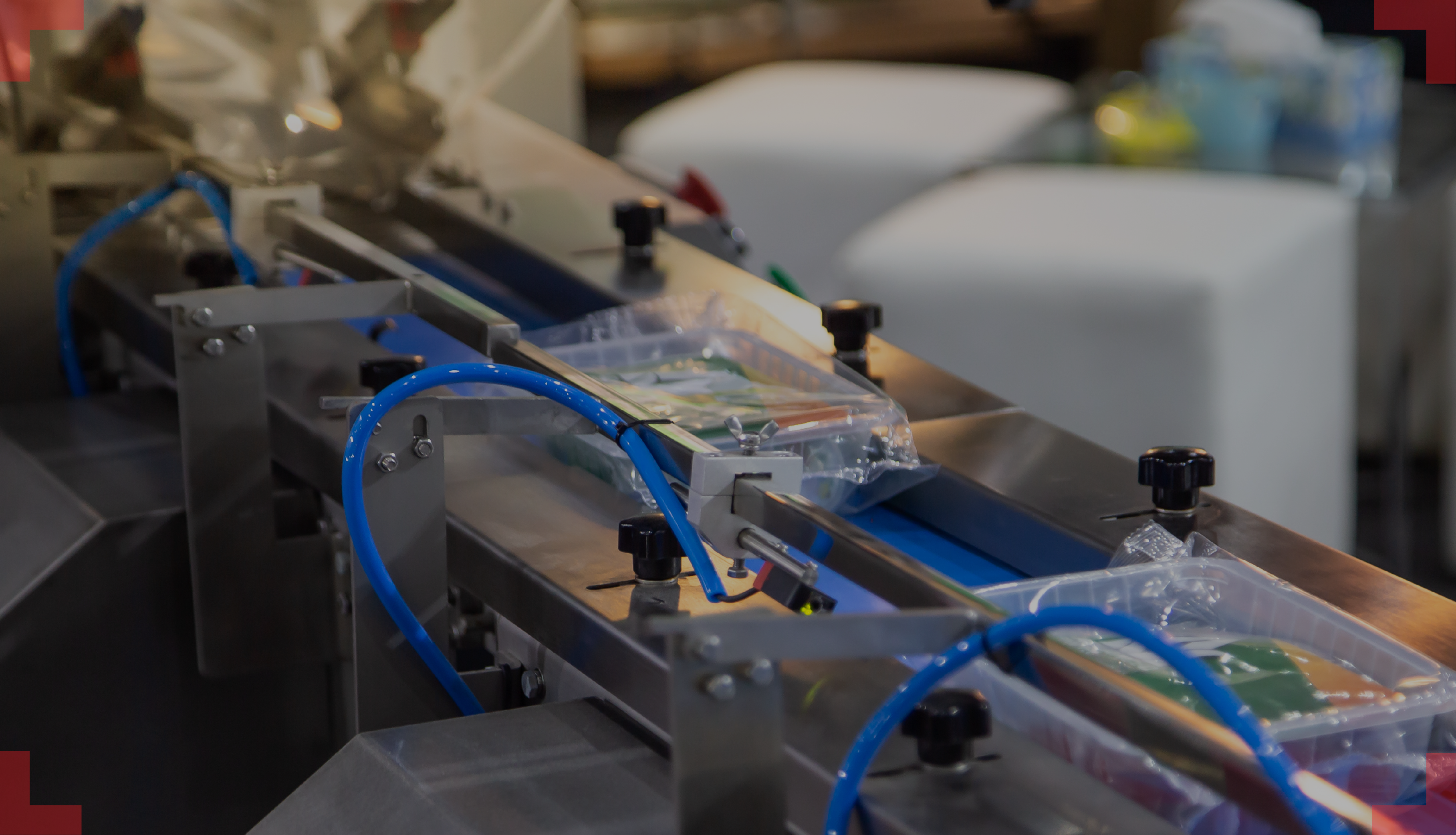 Blog-Packet Seal inspection