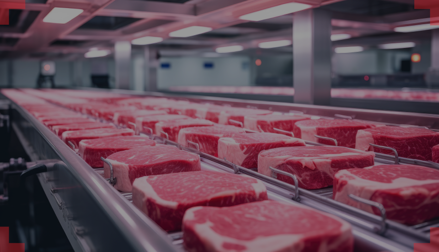 Meat Fat Rejection with Vision AI Website