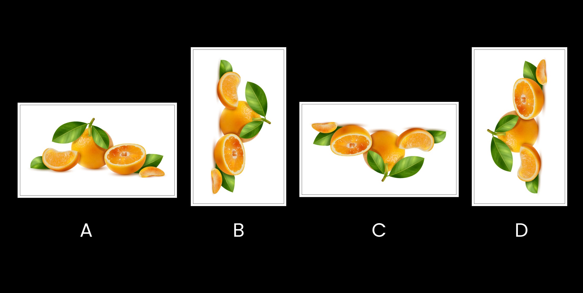 Image Data Augmentation in Computer Vision | ImageVision.ai